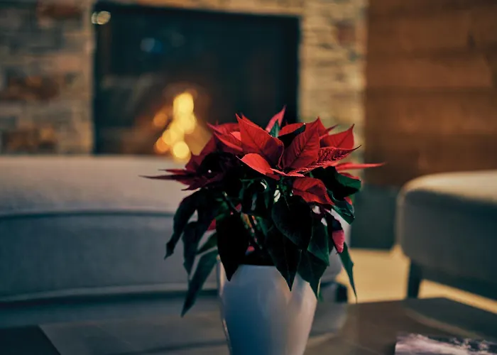 Sissi's 샬레 로이타쉬